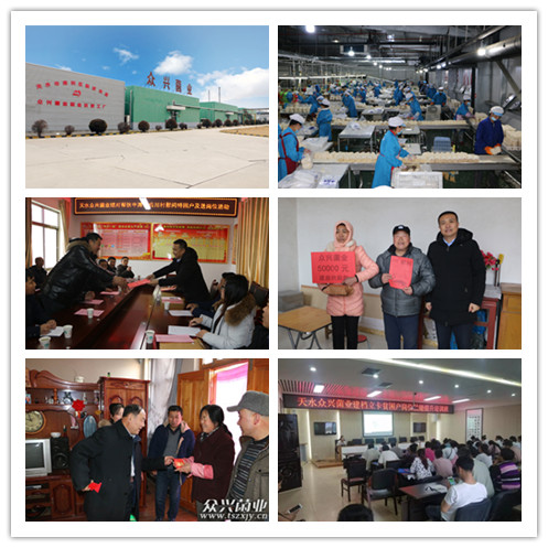 未標(biāo)題3_副本.jpg 未標(biāo)題3_副本.jpg